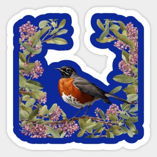 Turdus migratorius With the Connecticut State Flower Sticker